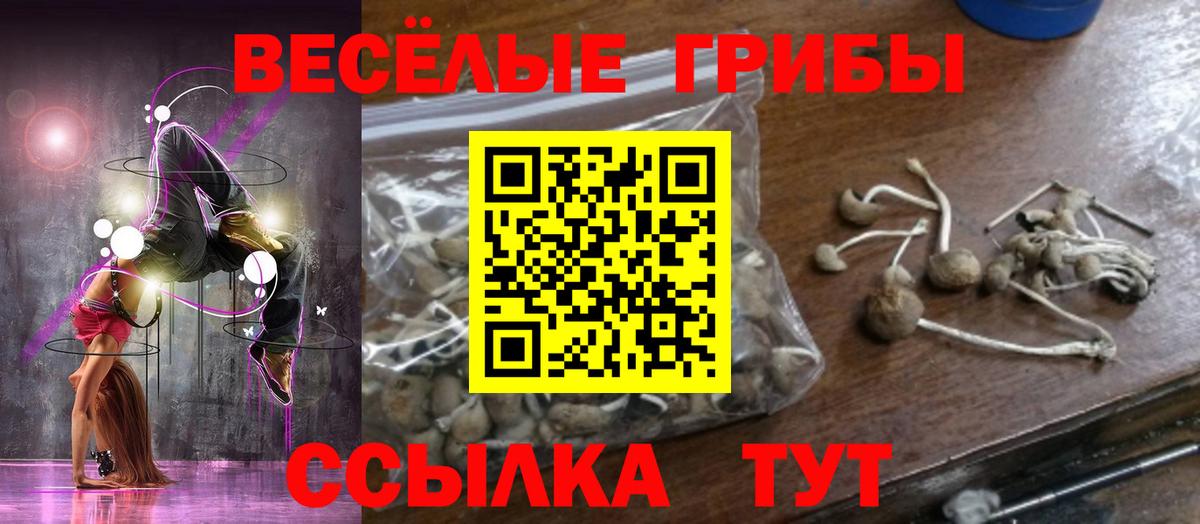 Псилоцибиновые грибы GOLDEN TEACHER Джанкой